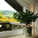 Storchenblick